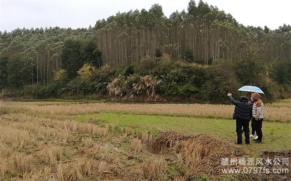 那曲地区陈老师带着爱徒寻龙点穴